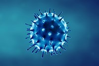 Coronavirus Update